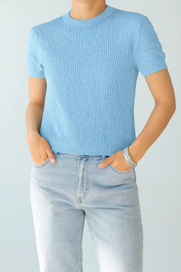 Short Sleeve Knitted Top